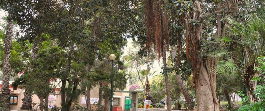 Apartment Kehilat Cleveland Tel Aviv - Apt 52260